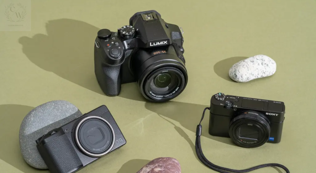 Capture the World Like Never Before with Lumix Professional Cameras